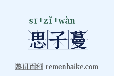 思子蔓是什么意思的图片